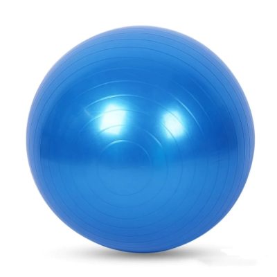 פיזיו בול פיטנס 65